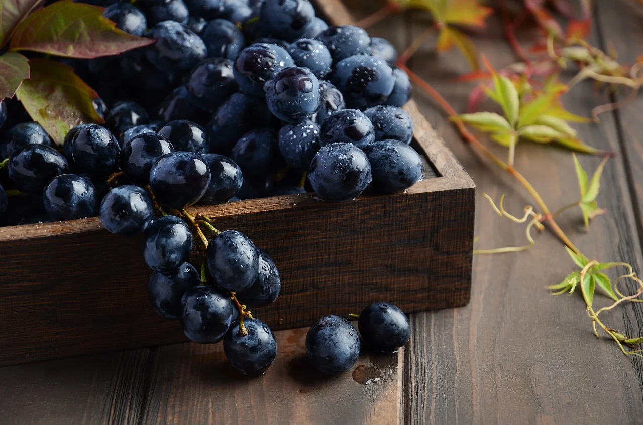  Czy winogrona są zdrowe?